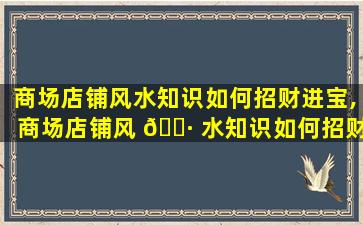 商场店铺风水知识如何招财进宝,商场店铺风 🌷 水知识如何招财进宝呢 💐